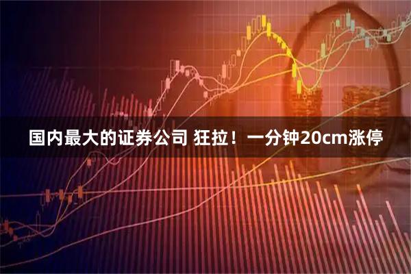 国内最大的证券公司 狂拉！一分钟20cm涨停