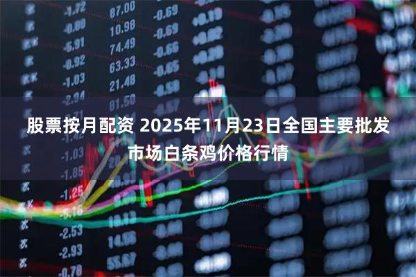 股票按月配资 2025年11月23日全国主要批发市场白条鸡价格行情