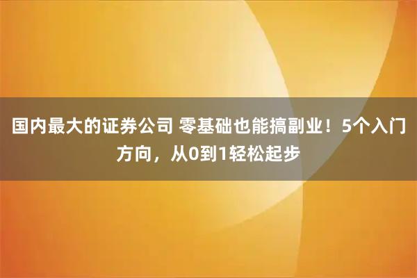 国内最大的证券公司 零基础也能搞副业！5个入门方向，从0到1轻松起步