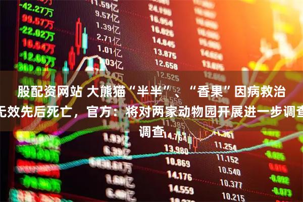 股配资网站 大熊猫“半半”、“香果”因病救治无效先后死亡，官方：将对两家动物园开展进一步调查